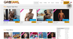 Desktop Screenshot of gaycams.org