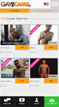 Mobile Screenshot of gaycams.org